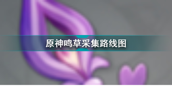 原神鳴草采集路線圖 原神鳴草采集位置一覽